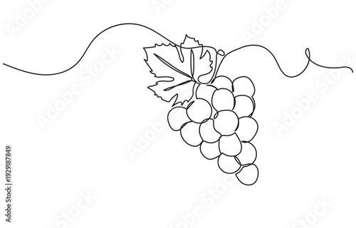 Single continuous line drawing of a grape cluster in a minimalist, clean style. Simple linear doodle grape isolated on white background, ideal as a vegan symbol for organic food vector designs.