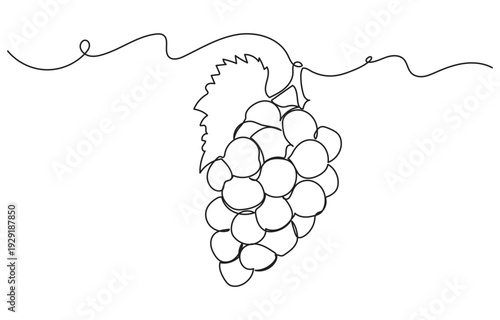Single continuous line drawing of a grape cluster in a minimalist, clean style. Simple linear doodle grape isolated on white background, ideal as a vegan symbol for organic food vector designs.