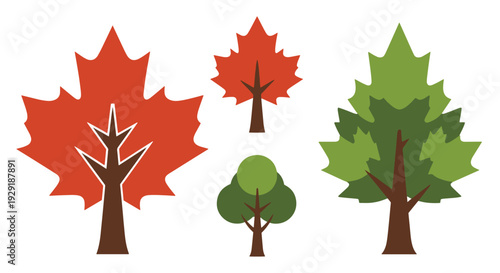 Maple tree Line art bright abstract color vector