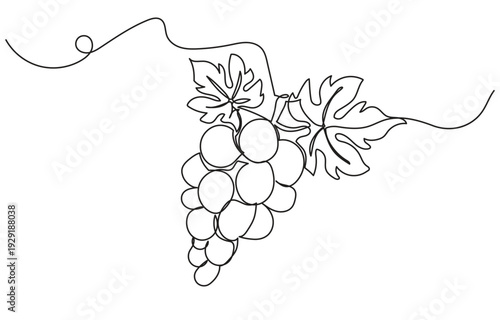 Single continuous line drawing of a grape cluster in a minimalist, clean style. Simple linear doodle grape isolated on white background, ideal as a vegan symbol for organic food vector designs.