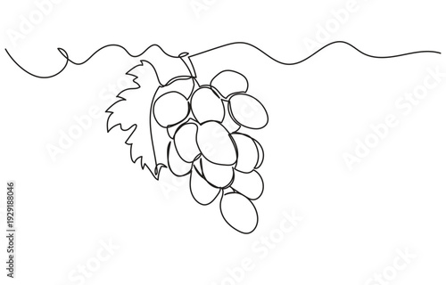Single continuous line drawing of a grape cluster in a minimalist, clean style. Simple linear doodle grape isolated on white background, ideal as a vegan symbol for organic food vector designs.