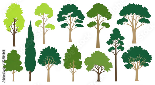 Axonometric tree symbols for landscape design and 3D modeling
