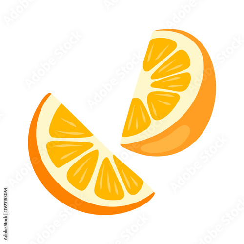 Two Juicy Orange Fruit Wedges vector illustration isolated on white background