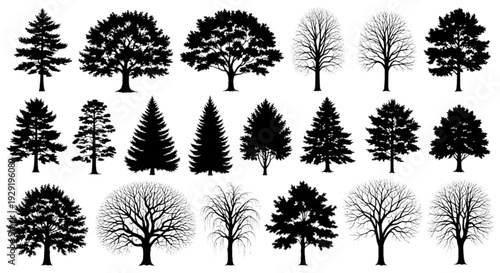 Minimalist 2D tree outlines for urban planning site layout