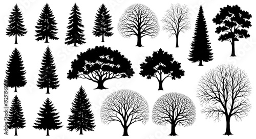 Minimalist 2D tree outlines for urban planning site layout