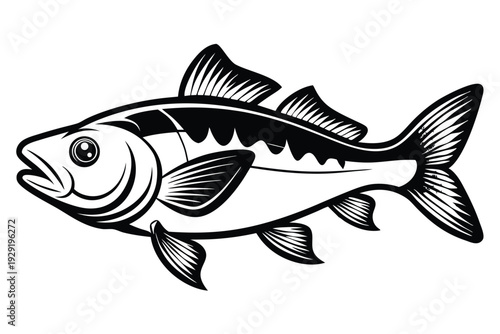cod fish silhouette line art vector illustration