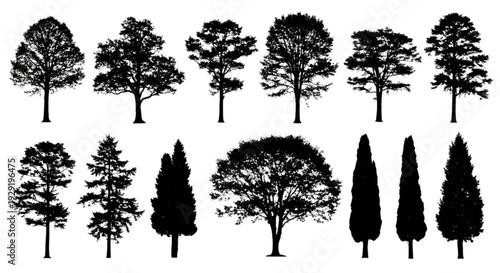 Architectural tree symbols in plan view for garden design