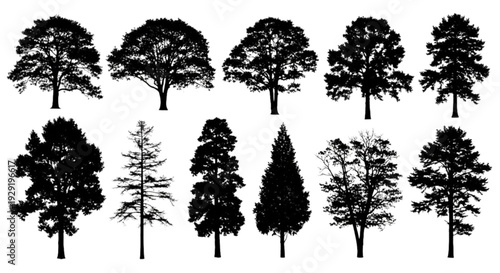Top view CAD tree blocks for landscape architecture site plan
