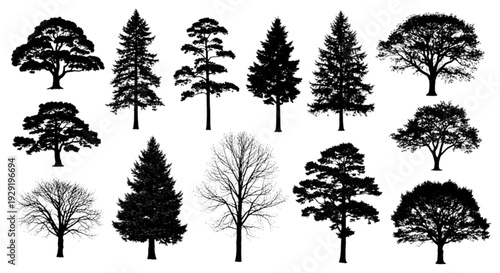 Top view CAD tree blocks for landscape architecture site plan
