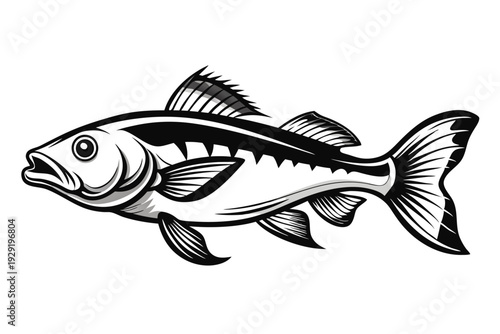 cod fish silhouette line art vector illustration