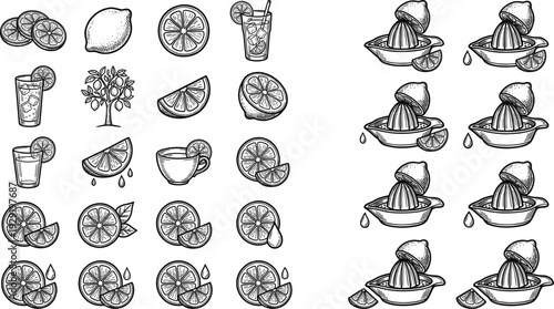 Hand Drawn Citrus Fruits and Manual Juicer Sketch Icon Set with Lemon Slices and Fresh Juice Illustrations