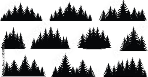 Coniferous tree silhouette collection, nine clusters, forest design, pine trees, nature illustration, outdoor landscape, environment, greenery, cad drawing flat vector illustration