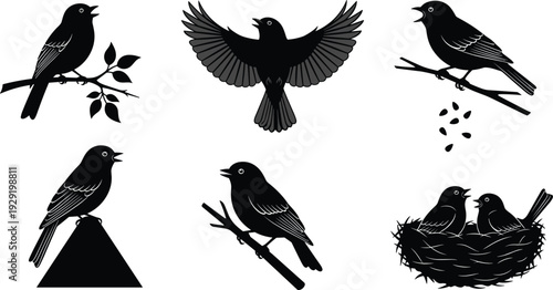 Bird silhouettes perched on branches, flying, nesting, feeding, nature wildlife illustration, black vector design, animal icons, decorative artwork