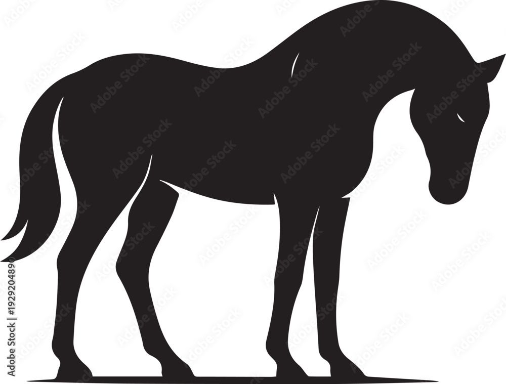 Obraz premium Majestic Horse Black Silhouette Vector Illustration