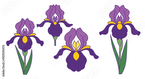 Iris Line art vector soft abstract tone illustration
