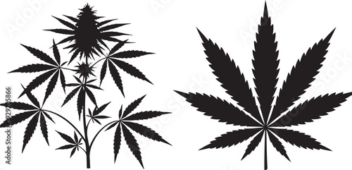 Cannabis Plant Silhouette Set – Marijuana Leaf Illustration. Cannabis Plant and Marijuana Leaf Silhouette Vector Set