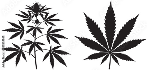 Cannabis Plant Silhouette Set – Marijuana Leaf Illustration. Cannabis Plant and Marijuana Leaf Silhouette Vector Set