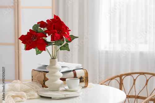 Christmas plant poinsettia ...