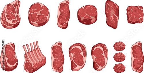 Collection of various raw beef cuts, steaks, ribs, and minced meat isolated on white background, fresh butchery products, flat vector illustration.
