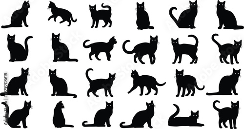 Collection of black cat silhouettes in various poses isolated on white background, domestic feline icon set for design, print, logo, and decoration