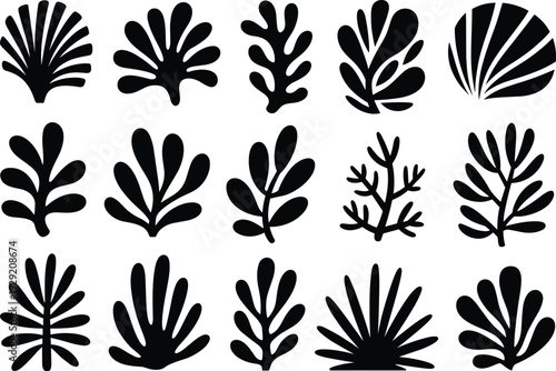 Abstract leaf silhouettes collection, tropical and decorative foliage shapes isolated on white background, black botanical vector illustration set