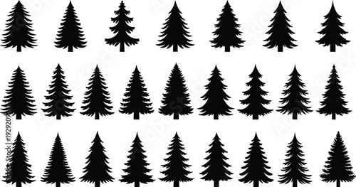 Collection of evergreen pine tree silhouettes isolated on white background featuring detailed fir and spruce shapes for forest, nature and Christmas design projects