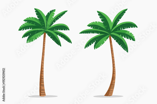 palm tree vector illustration