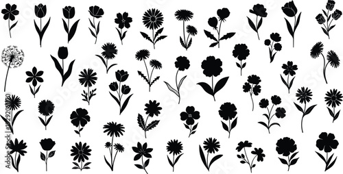 Flower silhouette vector illustration set featuring hand drawn floral shapes, botanical garden blossoms, and meadow plant outlines for elegant decorative.