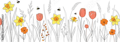 Hand drawn spring meadow illustration with colorful tulips, yellow daffodils, wildflowers, and honey bees on a clean white background, panoramic floral border.