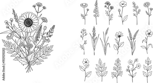 Hand drawn wildflower bouquet and floral elements set with sunflower chamomile and lavender meadow blossoms in black and white line art,
