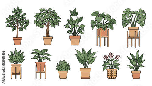 Collection of diverse house plants in ceramic pots for home decoration and indoor gardening aesthetic concepts.
