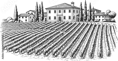 Vineyard landscape with rural villa and cypress trees, hand drawn sketch of wine estate, rows of grapes, tuscan valley scenery,