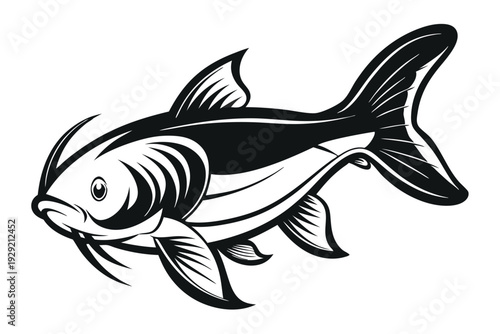 catfish silhouette line art vector illustration