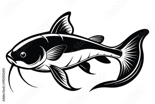 catfish silhouette line art vector illustration