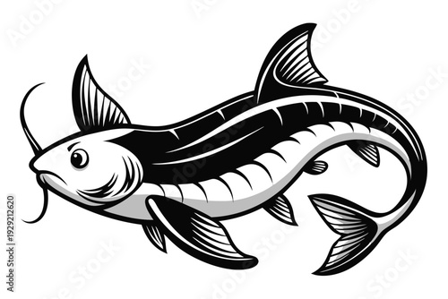 catfish silhouette line art vector illustration