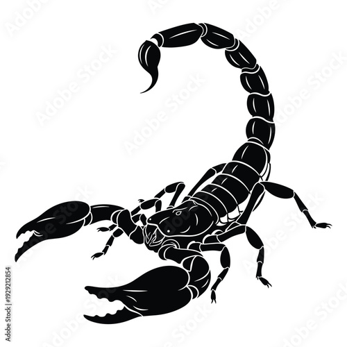 Detailed black scorpion silhouette isolated on white background for wildlife design