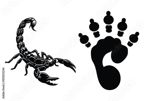 Detailed scorpion silhouette and wild animal paw print for nature graphic design