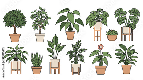 Collection of diverse green indoor houseplants in various decorative pots and stands, perfect for home or office interior design.