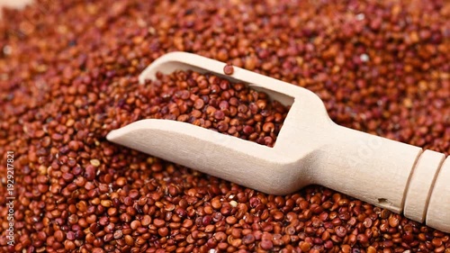 video of red quinoa background