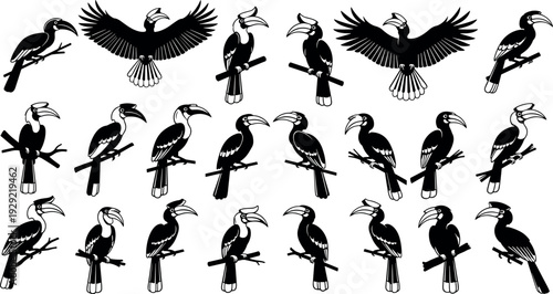 Black and white vector silhouette collection of wild tropical hornbill birds perched on branches and flying isolated on white background