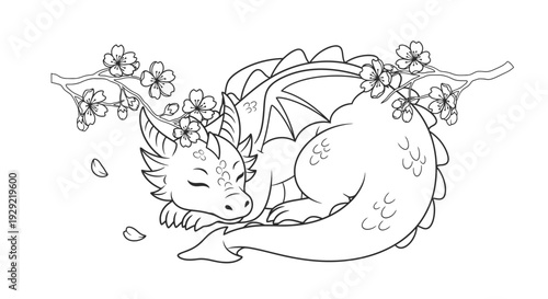 Dragon sleeping among cherry blossoms by branch