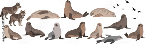 Sea Lions and Seals Wildlife Collection with Different Poses and Species, Marine Mammal Animals Vector Illustration Set