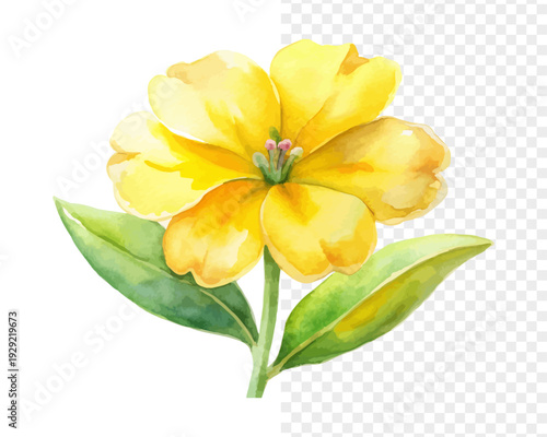 Watercolor Wallflower Illustration, Small Yellow Botanical Clipart, vector isolated on white background