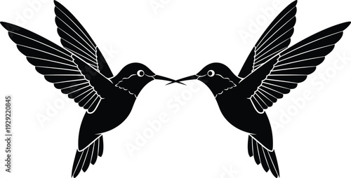 Black-and-white vector silhouette illustration of two symmetrical hummingbirds facing each other with wings spread and beaks touching, symbolizing nature, beauty, agility, and decorative themes