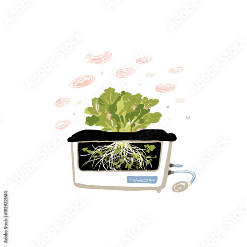 Aeroponic Chamber With Exposed Root Mist
