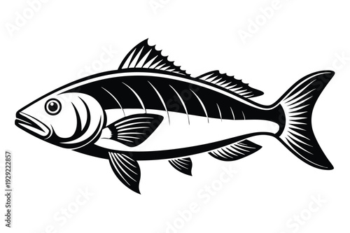 barramundi silhouette line art vector illustration