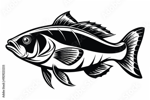 barramundi silhouette line art vector illustration