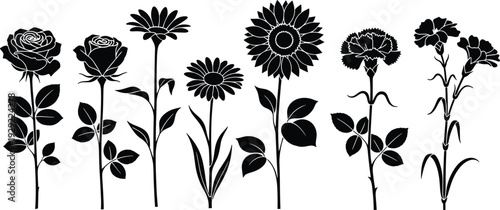 Black and white floral silhouette collection featuring rose, daisy, sunflower, and carnation flowers on isolated stems for botanical design