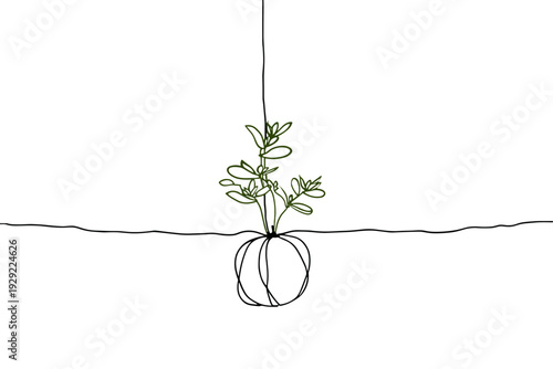 Hanging Kokedama Moss Ball Houseplant Illustration