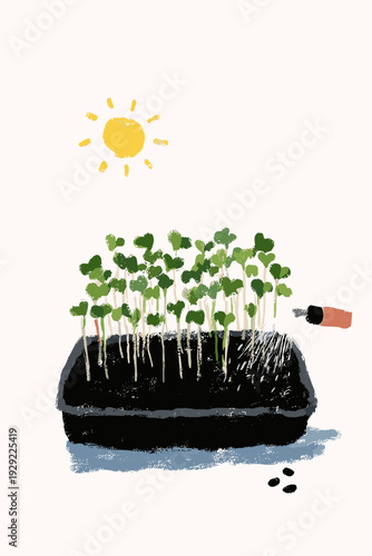 Kitchen Windowsill Microgreens Tray Sprouting